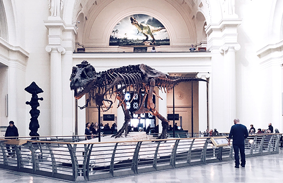 历史收藏博物院